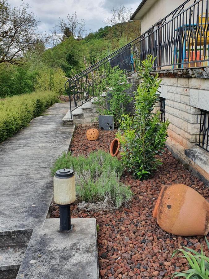 Saint-Cyprien-sur-Dourdou Le Curieux De Conques Bed & Breakfast エクステリア 写真