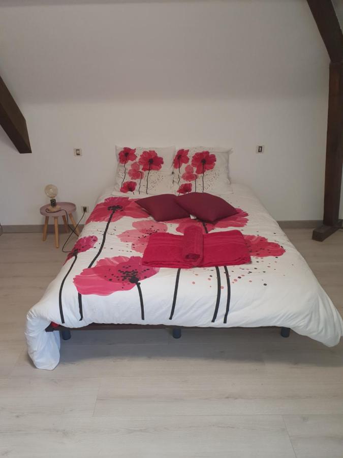 Saint-Cyprien-sur-Dourdou Le Curieux De Conques Bed & Breakfast エクステリア 写真