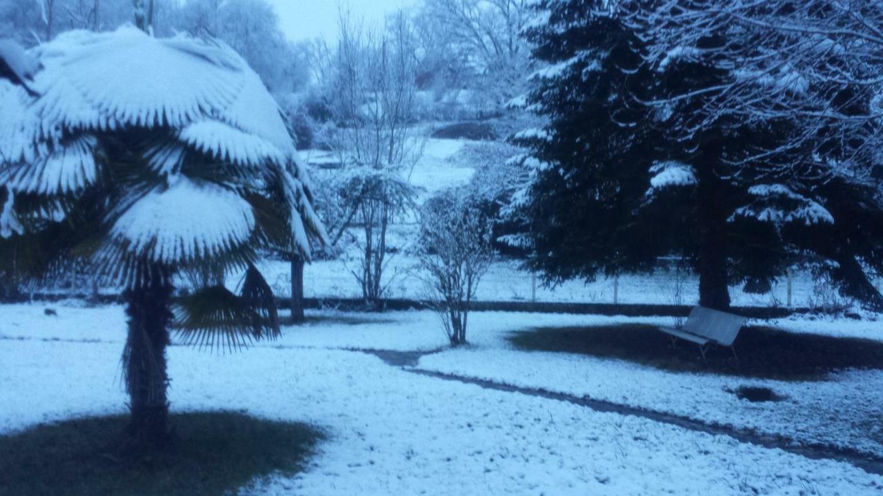 Saint-Cyprien-sur-Dourdou Le Curieux De Conques Bed & Breakfast エクステリア 写真