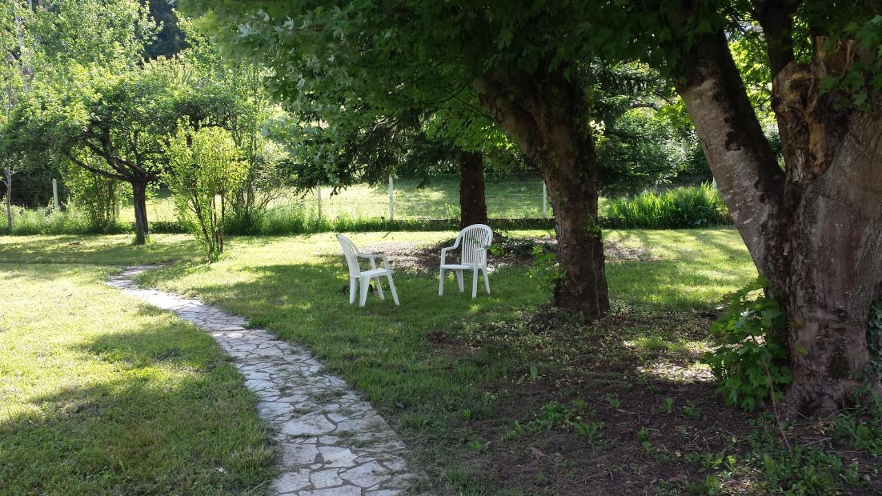 Saint-Cyprien-sur-Dourdou Le Curieux De Conques Bed & Breakfast エクステリア 写真